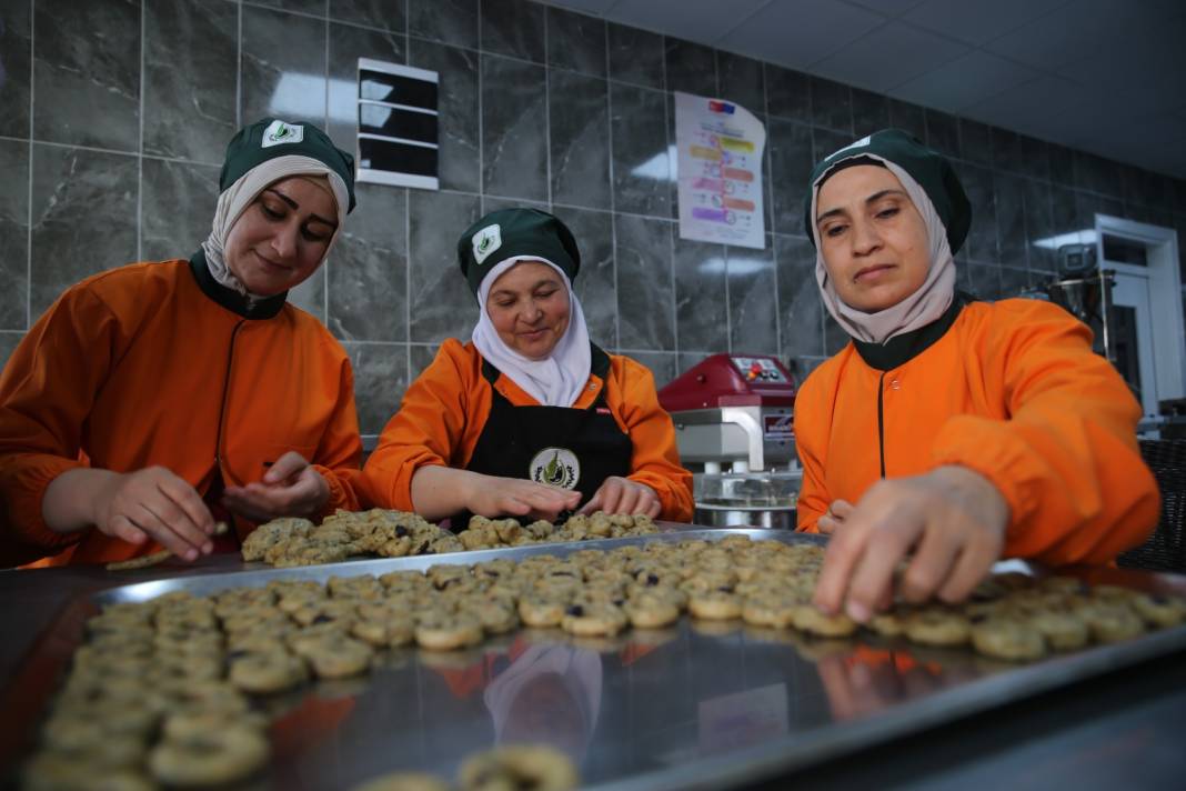 Bölgenin Afiyetle Yenen Lezzeti! Zeytin, Zahter, Rezene ve Zeytinyağıyla Yapıldığında Tadına Doyum Olmuyor 4